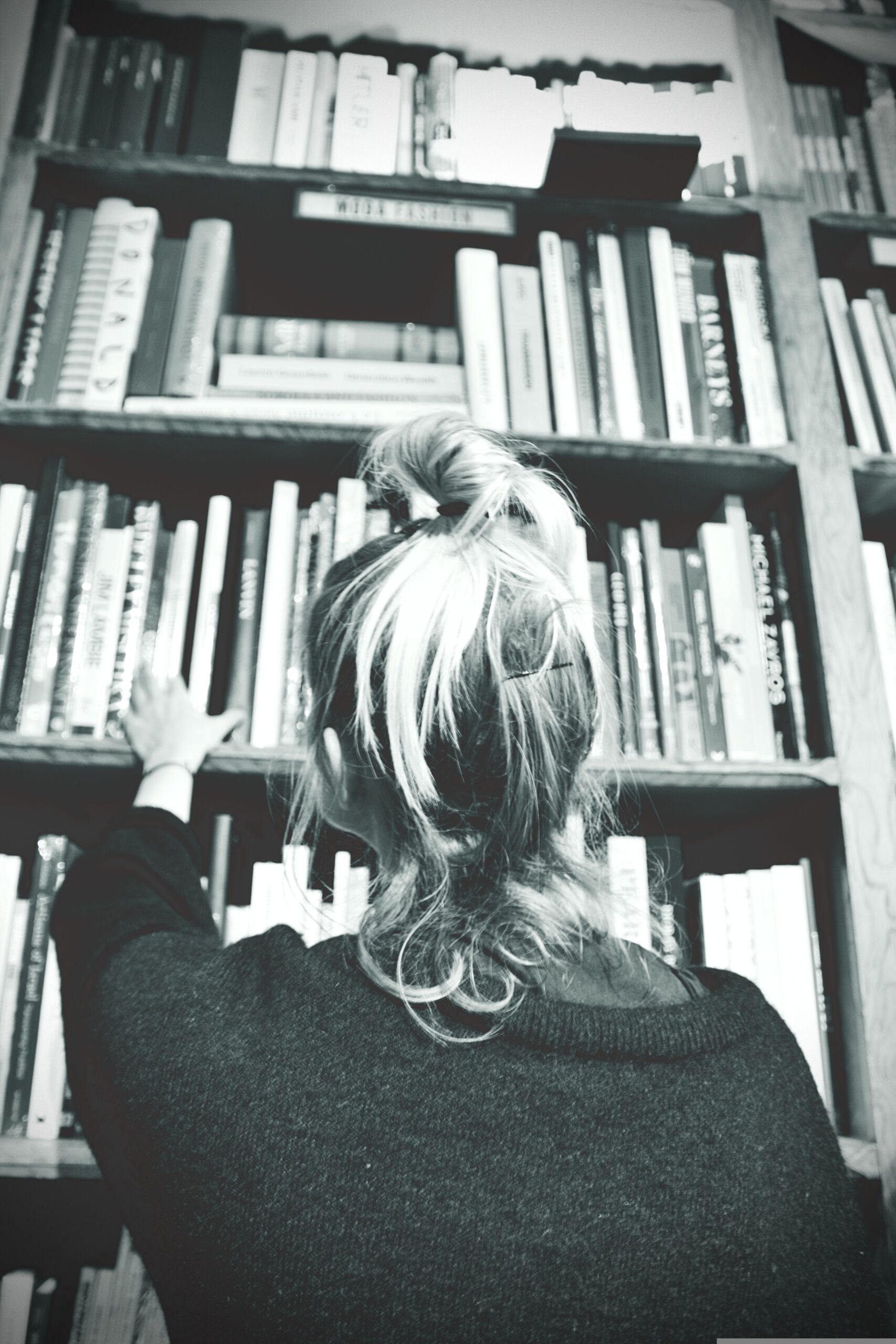 Second-hand books ready for new homes
